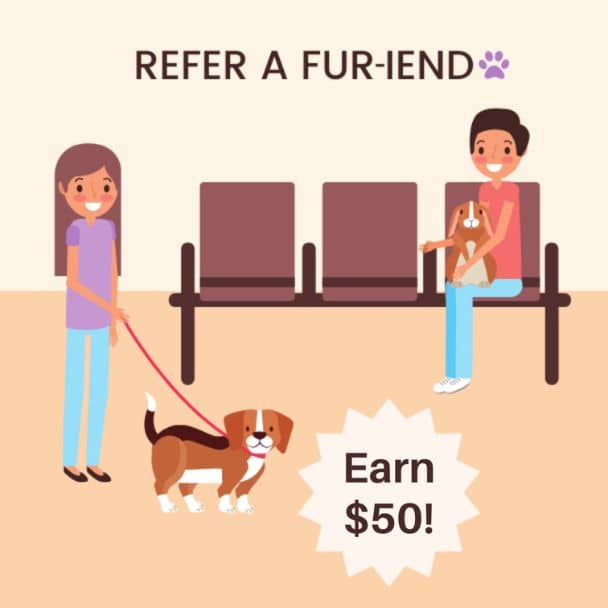 Fur-iends Referral Program Graphics