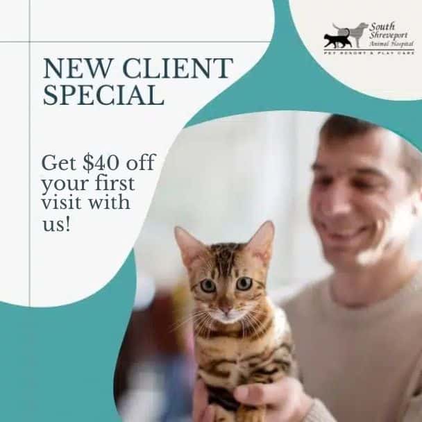 New Client Special Graphics